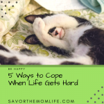 5 Ways to cope when life gets hard and cat sleeping.