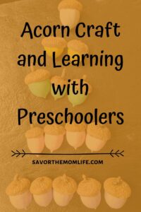 Acorn Craft and Learning with Preschoolers