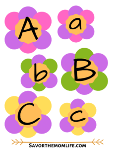 Flower Alphabet Flash Cards. Uppercase and Lowercase 