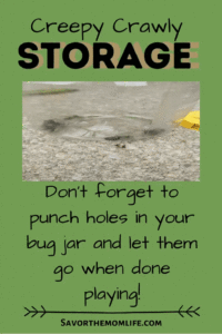 4 Steps to Playing with Nature Collections for Kids. Creepy Crawly Storage 