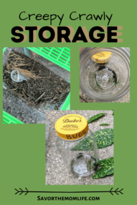 4 Steps to Playing with Nature Collections for Kids. Creepy Crawly Storage 