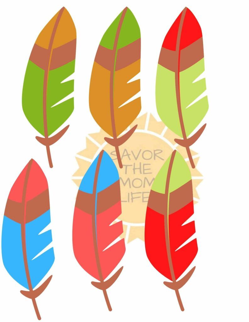 Turkey Feather Number Set Game