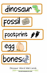 Dinosaur Word Wall Cards. dinosaur, fossil, footprint, egg, bones 