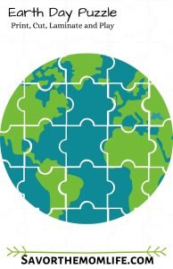 Earth Day Puzzles 