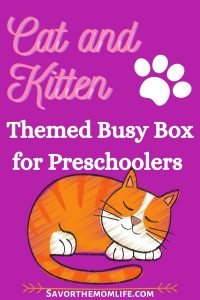 Cat Themed Busy Box for Preschoolers