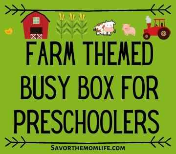 Farm Themed Busy Box for Preschoolers